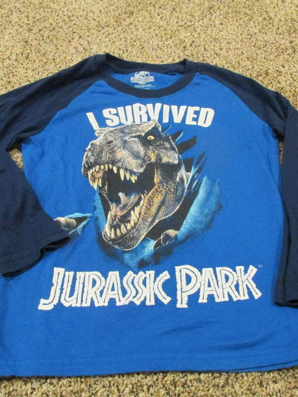 Jurassic World Pullover T Shirt Youth Boys Medium Blue Long Sleeve‎ I Survived